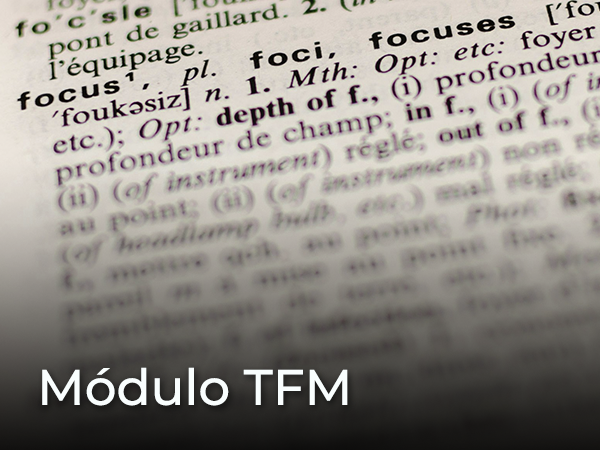 MÓDULO TFM